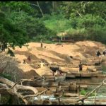 Cameroun - Echappées belles