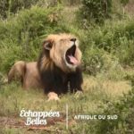Destination Afrique du Sud - Échappées belles