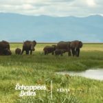 Kenya, un rêve de safari - Échappées belles