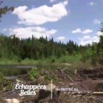 Un été à Montréal - Échappées belles