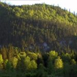 Québec, le chant de la nature - Echappées belles