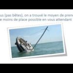 Vous l'avez échappé belle si vous n'êtes pas venus sur Minos