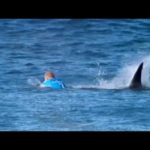 Le champion de surf Fanning échappe de peu à une attaque de requin
