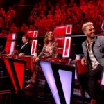 Vcryptage Emission 04 - Ca vous a peut être échappé - The Voice (Saison 06)