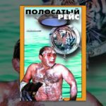 A LIVELY VOYAGE / Полосатый рейс