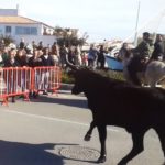 Saintes Maries de la Mer-Un taureau s'échappe-Arrivées des Abrivados longues en ville