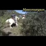 TOP 10 de taureau qui s'échappe #2