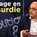 Pierre Jovanovic - Taux négatifs, assurance-vie, banques : voyage en absurdie - Poléco 237