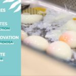 INRAE au Salon de l’agriculture 2020, JT dimanche 23 février Ep#2