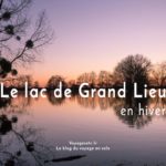 Découvrir le lac de Grand Lieu en hiver