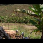 Voyage moto Thailande - Vintage Rides