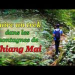 Voyage en Thaïlande : faire un trek à Chiang Mai