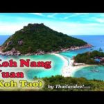 Voyage en Thaïlande : l'île de Koh Nang Yuan (Koh Tao)