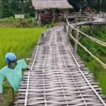 Voyage Thaïlande : bambou bridge de Lampang