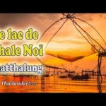 Voyage en Thaïlande : le lac de Thale Noi à Phatthalung