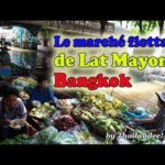 Voyage en Thaïlande: marché flottant de Lat Mayom