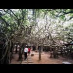 Voyage en Thaïlande - 2003