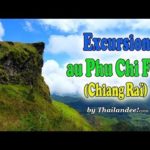 Voyager en Thaïlande : Vlog excursion au Phu Chi Fah depuis Chiang Rai