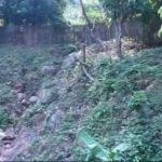 Mon voyage en Thaïlande (2012)