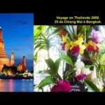 Voyage en Thailande 2000 - 25 De Chiang Mai à Bangkok.