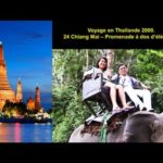 Voyage en Thailande 2000 - 24 Chiang Mai -  Promenade à dos d'éléphant.