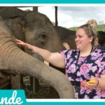 THAÏLANDE JOUR 3 : LES ÉLÉPHANTS | 99VLOGS