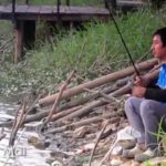 A la découverte du Nord de la Thaïlande