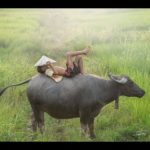 ร้อยเอ็ด  VOYAGE EN THAÏLANDE AVEC LE ROYAUME DU SIAM  ISSAN