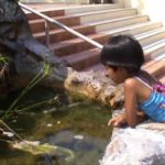 VOYAGE A KOH SAMUI  THAÏLANDE AVEC LE ROYAUME DU SIAM  ISSAN