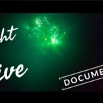 Night Diving Similan / Plongée De Nuit Thaïlande Koh Bon Koh Tachai Richelieu Rock GoPro