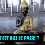 C'est la cata déjà ! #59