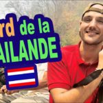 Nord de la Thailande: Kanchanaburi, Ayutthaya, Sukhothai, Chiang Mai, Tham Lot, Pai, Minorités