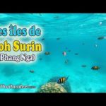 Voyage en Thaïlande: visiter les îles Koh Surin