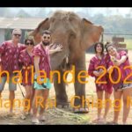 [Partie 2] Voyage Famille Thaïlande 2020 CHIANG RAI / CHIANG MAI
