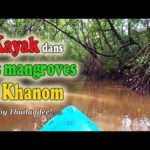 Voyage en Thaïlande : kayak dans les mangroves de Khanom