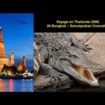Voyage en Thailande 2000 - 26 Bangkok – Samutprakan Crocodile.
