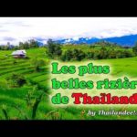 Ban Pa Pong Piang, les plus belles rizières en terrasses de Thaïlande