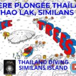 Croisière plongée Thaïlande à Khao Lak, Similans 9 three trees, titan baliste, raies, poissons anges