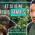 Bali : et si je ne repartais jamais ? [VLOG #2]