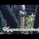 Voyage visuel et sonore (Relaxing hang drum music)