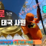[15분 순삭 특별판] 태국에서 절대로 가면 안되는 사원...(Feat 호랑이 사원)