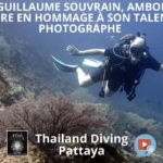 Vidéo Guillaume Souvrain, Ambon dive explore en hommage à son talent de photographe, thailand diving