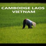 Voyage en Asie du Sud-Est : Cambodge, Laos, Vietnam