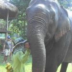 Voyage en Thaïlande (2/3) : à la rencontre des éléphants - GoPro video