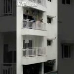 Des singes thaïlandais envahissent un hôtel déserté dû au coronavirus (Pattaya)