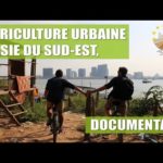 La Grande Aventure de l'Agriculture Urbaine en Asie du Sud-Est