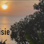 Notre voyage en Malaisie