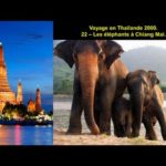 Voyage en Thailande 2000 - 22 Les éléphants à Chiang Mai.