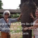 Voyage initiatique en Thaïlande avec les éléphants dans une dimension humanitaire et solidaire