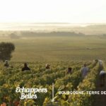 La Bourgogne, terre de vignes - Échappées belles